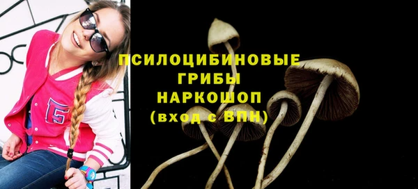 гашик Абинск