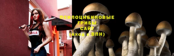 твердый Абаза