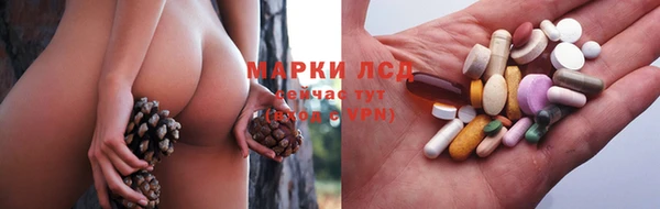 твердый Абаза