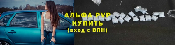 гашик Абинск