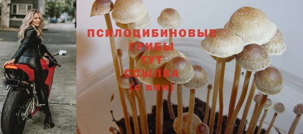 гашик Абинск