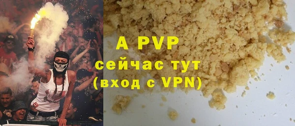 твердый Абаза